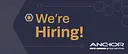 Anchor Group Services